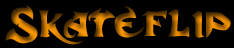 Skateflip logo